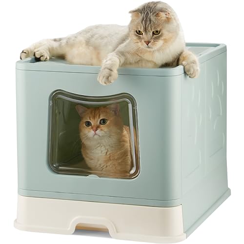 Vealind Extra große Katzentoilette für Hauskatzen, Jumbo-Größe, Grün von Vealind