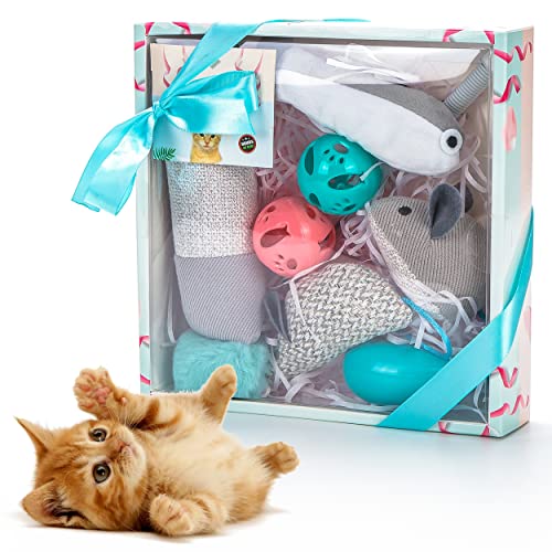 Vealind Interaktives Spielzeug für Katzen und Katzen, in schöner Geschenkbox von Vealind