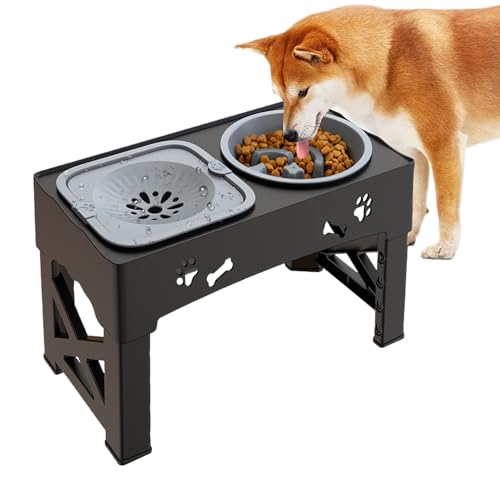 Cat Feeder Water Dispenser, Anti Slip Food Bowl, 16.93x9.57x3.23 inchesPet Waterer Feeding Supplies, Sturdy and Easy to Clean for Small Medium Animals, Kittens, Puppies Cat Feeder Water Dispenser, Anti Slip Food Bowl, 16.93x9.57x3.23 inchesPet Waterer Feeding Supplies, Sturdy and Easy to Clean for Small Medium Animals, Kittens, Puppies von Veasbuu