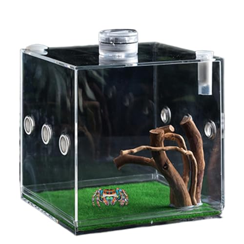 Clear Reptile Cage, Jumping Spider Growth Enclosure, Small Animal Breeding Box, Lightweight Design, 2.56x2.56x2.56 Inches, Turtles Beetles Snails Lizards von Veasbuu