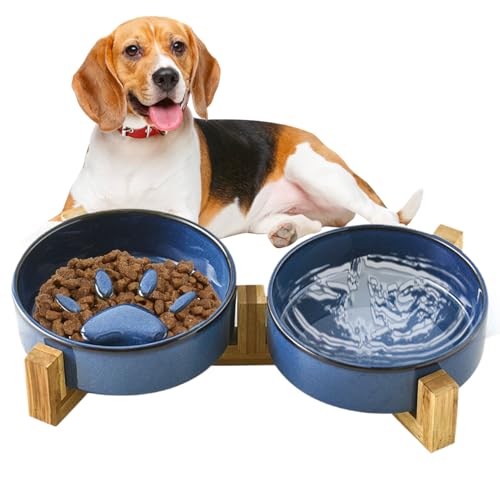Feeder Dog Bowls - 13.46x7.28x2,76 Zoll langsame Feeder für Haustiere, Haustier -Fütterungsversorgungen mit Wasserschalen -Set, Anti -Food -Speisegericht für Katzen, Hunde, gesunde Ernährung, Innenräu Feeder Dog Bowls - 13.46x7.28x2,76 Zoll langsame Feeder für Haustiere, Haustier -Fütterungsversorgungen mit Wasserschalen -Set, Anti -Food -Speisegericht für Katzen, Hunde, gesunde Ernährung, Innenräu von Veasbuu