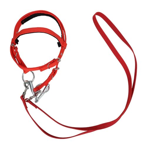 Horse Headstall and Reins, Adjustable Rope Horse Bridle, Sturdy Harness Ranch Rope, Safety Rein Design, Perfect for Equine Training and Riding Adventures von Veasbuu
