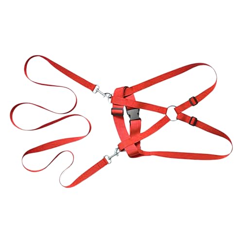 Toddler Safety Harness, Ergonomic Anti Lost Harness Rope, 15.55x24.8 Inches Child Walking Lead, Comfortable Adjustable for Outdoor Adventures, Camping, Parks, Travel von Veasbuu