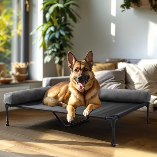 Veehoo Erhöhtes Hundebett mit abnehmbarer Nackenrolle, erhöhtes Haustiersofa, tragbar, mit 2 Seitenpolster, waschbares Netzgewebe, rutschfeste Füße für drinnen und draußen, schwarz, 125 x 83 x 23 cm Veehoo Erhöhtes Hundebett mit abnehmbarer Nackenrolle, erhöhtes Haustiersofa, tragbar, mit 2 Seitenpolster, waschbares Netzgewebe, rutschfeste Füße für drinnen und draußen, schwarz, 125 x 83 x 23 cm von Veehoo