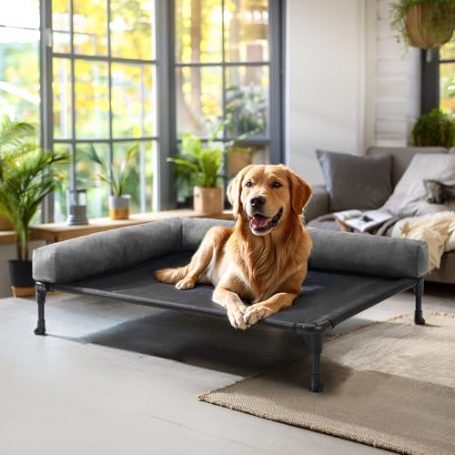Veehoo Erhöhtes Hundebett mit abnehmbarer Nackenrolle, erhöhtes Hundebett, Sofa, erhöhtes Hundebett, tragbar, erhöhtes Haustierbett mit 2 seitlichen Nackenrollen, waschbares Netzgewebe, rutschfeste Veehoo Erhöhtes Hundebett mit abnehmbarer Nackenrolle, erhöhtes Hundebett, Sofa, erhöhtes Hundebett, tragbar, erhöhtes Haustierbett mit 2 seitlichen Nackenrollen, waschbares Netzgewebe, rutschfeste von Veehoo