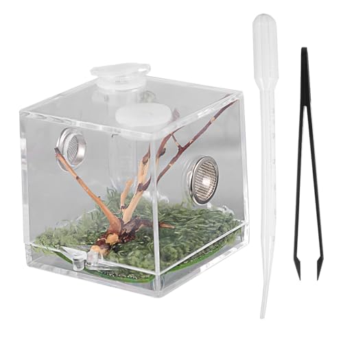 Veemoon Acryl Springspinne Terrarium - Transparentes Spinnen Habitat Für Insekten - Ideal Als Reptilien Zuchtbox Inklusive Pipette Und Zange Kompakte Größe Für Kleinen Veemoon Acryl Springspinne Terrarium - Transparentes Spinnen Habitat Für Insekten - Ideal Als Reptilien Zuchtbox Inklusive Pipette Und Zange Kompakte Größe Für Kleinen von Veemoon