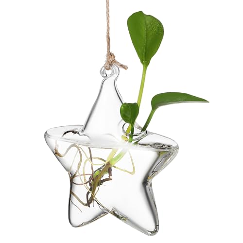 Veemoon Hydroponische Blumenvase Zum Aufhängen Transparente Glasvase Kleine Hydroponik-Hängeflasche Innendekoration Für Büro Und Schlafzimmer von Veemoon