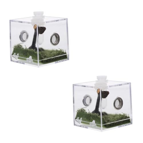 Veemoon Insekten Terrarium Aus Transparentem Acryl Für Schnecken - Spinnen Und Reptilien – Idealer Lebensraum Für Vogelspinnen - Gottesanbeterinnen Und Geckos – Zuchtbox Set von Veemoon