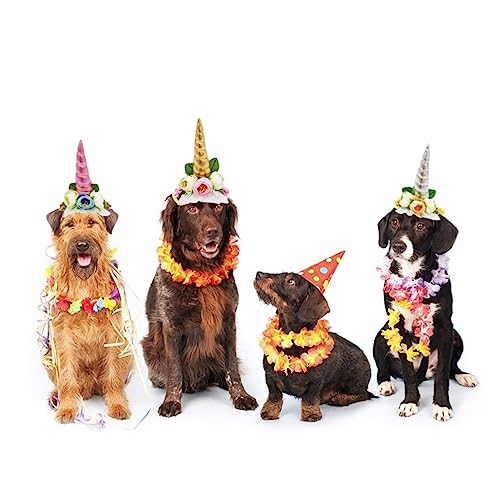 Veemoon Katzen-Einhorn-Hut Für Halloween Und Weihnachten – Lustiger Kostüm Hut Für Katzen Und Kleine Hunde Ideal Für Partys Und Cosplay Süßes Zubehör Für Ihre Pelzigen Freunde von Veemoon
