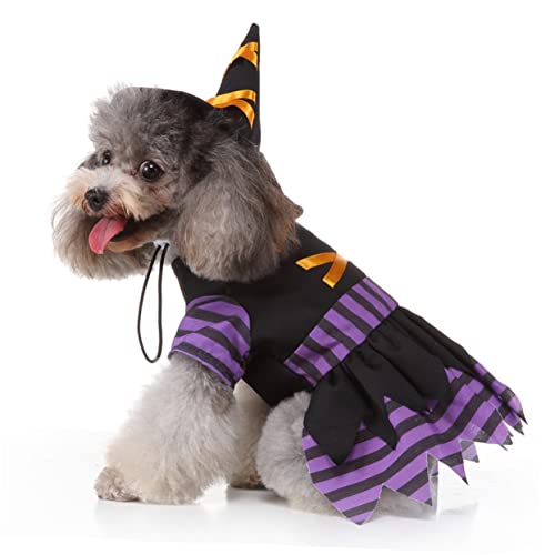 Veemoon Kreatives Halloween Kostüm Für Kleine Hunde – Mit Hut - Zauberhaftes Haustier-Outfit Für Halloween Lustige Hundekleidung in Verschiedenen Größen Für Ihre Vierbeinigen Freunde von Veemoon