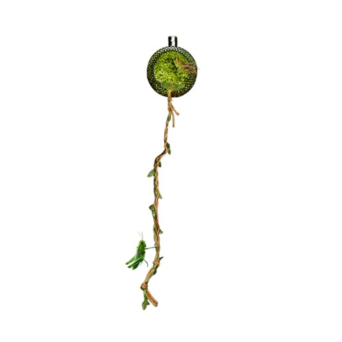 Springspinnen Haus | Moos-Springspinnen Terrarium Mit Magnethalterung,Für Ruhe Fütterung Zuhause Reptilien Frösche Grillen von Veeteah