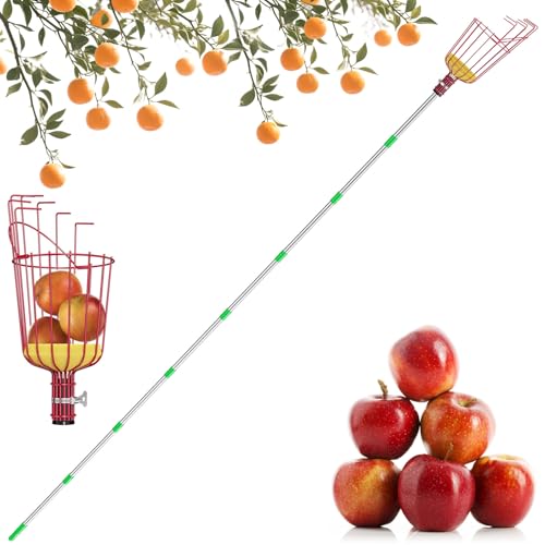 3.2M Apfelpflücker Obstpflücker Kirschenpflücker Pflückhilfe Obstpflücker mit Stiel Einfach zu Montieren Verstellbare Spleiß-Verlängerung Obstpflücker Stange 3.2M Apfelpflücker Obstpflücker Kirschenpflücker Pflückhilfe Obstpflücker mit Stiel Einfach zu Montieren Verstellbare Spleiß-Verlängerung Obstpflücker Stange von Vegamall