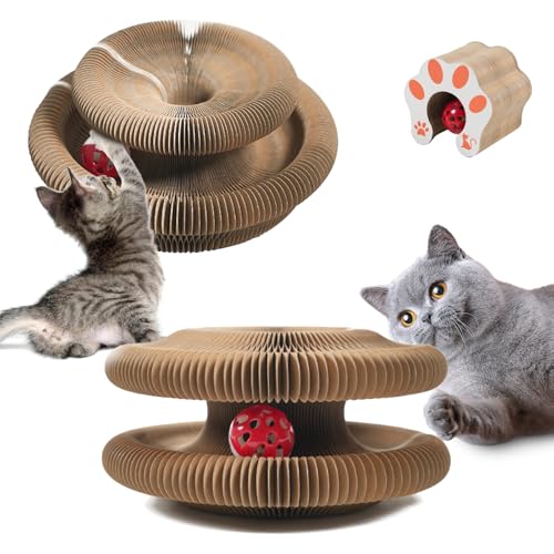 2 Stück Katzen Kratzbrett - Magic Organ Cat Scratching Board, Kratzbrett für Katzen, Kratzbretter Katze, Kratzmatte Katze mit Glöckchen, Katzenspielzeug Rund Bett, Kratzspielzeug für Katzen 2 Stück Katzen Kratzbrett - Magic Organ Cat Scratching Board, Kratzbrett für Katzen, Kratzbretter Katze, Kratzmatte Katze mit Glöckchen, Katzenspielzeug Rund Bett, Kratzspielzeug für Katzen von Vegena