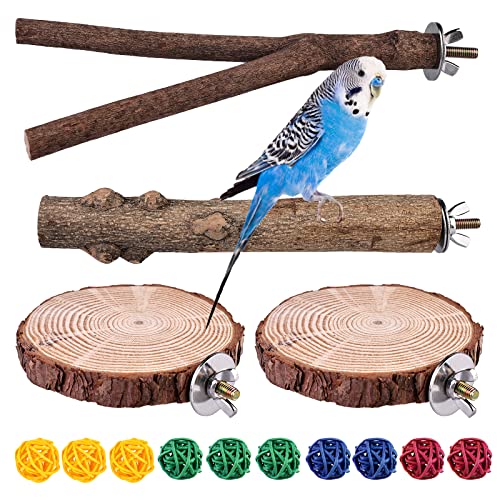 4 Stück Naturholz Sitzstangen für Vögel, Vegena Natur Sitzstangen Set für Wellensittich mit Rattan Kugeln Papageienspielzeug Vogelkäfig Zubehör Vogelspielzeug für Nymphensittich Kanarienvogel 4 Stück Naturholz Sitzstangen für Vögel, Vegena Natur Sitzstangen Set für Wellensittich mit Rattan Kugeln Papageienspielzeug Vogelkäfig Zubehör Vogelspielzeug für Nymphensittich Kanarienvogel von Vegena