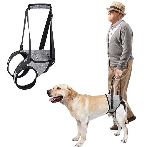 Hunde-Hebegeschirr, Hundestützgeschirr für Hinterbeine, Hundegeschirr, klein, Hundeschlinge für Hinterbeine mit Hebegriff, verstellbares Welpengeschirr für ältere Menschen mit Behinderungen, von Vegena
