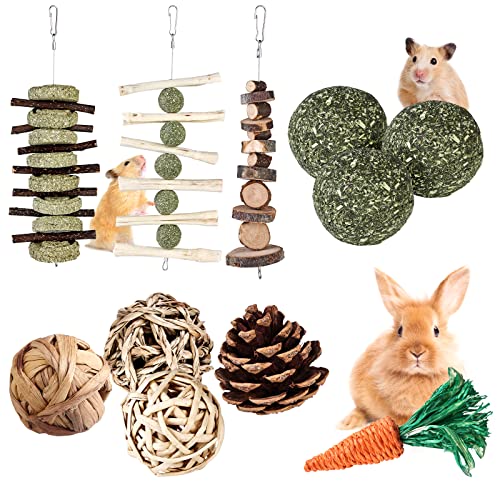 Kaninchen Kauspielzeug - Hasen Kauspielzeug, 11 Stück Kleintiere Kauspielzeug Hamster Spielzeug, Natürliche Timothy Kauen Molar Zubehoer für Häschen Hamster Chinchilla Meerschweinchen Rennmäuse Kaninchen Kauspielzeug - Hasen Kauspielzeug, 11 Stück Kleintiere Kauspielzeug Hamster Spielzeug, Natürliche Timothy Kauen Molar Zubehoer für Häschen Hamster Chinchilla Meerschweinchen Rennmäuse von Vegena