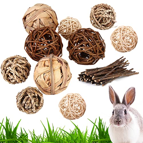 Vegena 10 Stück Kaubälle Meerschweinchen - Kleintiere Kauspielzeug Natürliche Bälle mit Apfelzweig-Sticks Kleintierspielzeug für Chinchilla Hamster Kaninchen Hasen Zwergkaninchen Zubehör Vegena 10 Stück Kaubälle Meerschweinchen - Kleintiere Kauspielzeug Natürliche Bälle mit Apfelzweig-Sticks Kleintierspielzeug für Chinchilla Hamster Kaninchen Hasen Zwergkaninchen Zubehör von Vegena