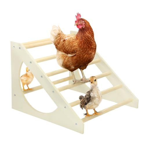 Vehomy Hühner-Roosting Bar Massivholz Roosting Ladder Geflügel Sitzstange Ständer Dschungel Gym für Hinterhöfe Hühnerställe Bauernhöfe Hühnerspielzeug für Küken Hühner Hahn Große Vögel Papageien Aras Vehomy Hühner-Roosting Bar Massivholz Roosting Ladder Geflügel Sitzstange Ständer Dschungel Gym für Hinterhöfe Hühnerställe Bauernhöfe Hühnerspielzeug für Küken Hühner Hahn Große Vögel Papageien Aras von Vehomy