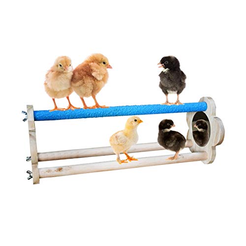 Vehomy Hühnerstange für Küken Hühner Holz Ständer mit Spiegel Küken Ständer Training Sitzstange Spielzeug Hühner Schaukel Hühner Spielzeug für Hühner von Vehomy
