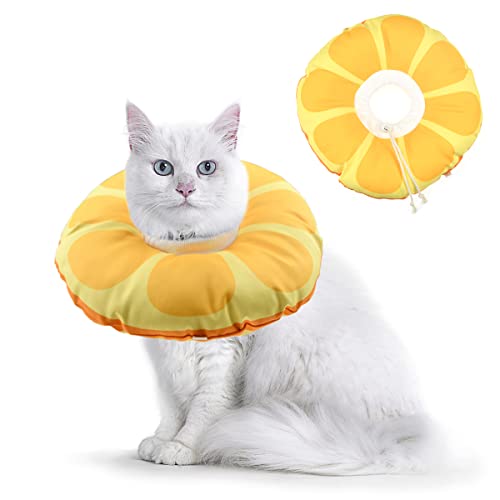 Vehomy Pet Cone Collar Cat Recovery Collar Orange Waterproof Puppy Cat Neck Cone Adjustable Dog E Collar for Wundheilung Protective Cat Elizabethan Collar After Operation for Kittens Puppy L von Vehomy