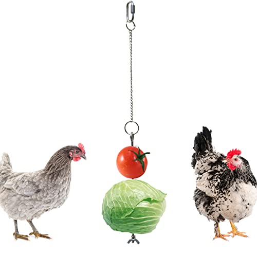 Vehomy Spieß für Hühner, Gemüse, Obst, Halter für Hühner, Haustiere, Huhn, Gemüse, zum Aufhängen, Spielzeug für Hühner, große Vögel, 1 Stück von Vehomy