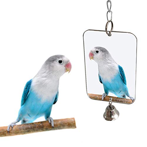 Vektenxi Vogel Zubehör, Papagei Vogel Sittich hängenden Spiegel Glocke Spielen Spielzeug Käfig Dekoration Heimtierbedarf sehr praktisch Vektenxi Vogel Zubehör, Papagei Vogel Sittich hängenden Spiegel Glocke Spielen Spielzeug Käfig Dekoration Heimtierbedarf sehr praktisch von Vektenxi