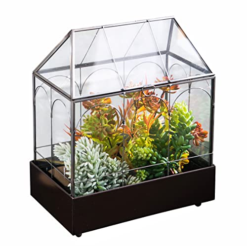 Vellon Pflanzen-Terrarium in Hausform mit Wasserschale für Laub, Sukkulenten und Bonsai, Zimmerpflanzer, Dekoration für Haus und Garten von Vellon