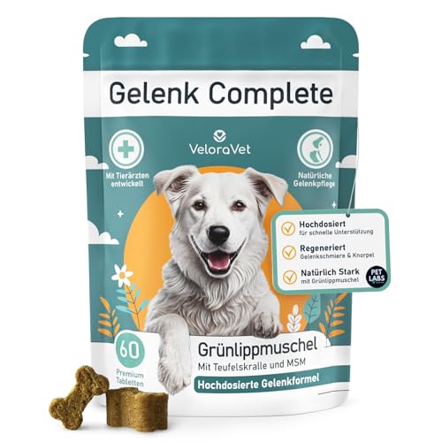 VeloraVet Grünlippmuschel Hund als Gelenktabletten - HOCHDOSIERT & Soft mit MSM & Glucosamin für Mobile Gelenke - höhere Akzeptanz als Grünlippmuschel Kapseln, Grünlippmuschelpulver - 60 Stück von VeloraVet
