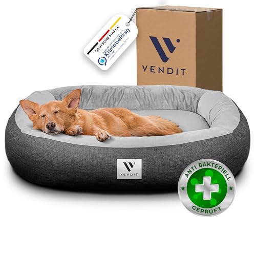 Vendit Orthopädisches Hundebett XL für mittelgroße Hunde – Memory Foam Matratze, antibakteriell & geruchsneutral, wasserfest & Kratzfest, mit abnehmbarem Bezug, rutschfest & langlebig Vendit Orthopädisches Hundebett XL für mittelgroße Hunde – Memory Foam Matratze, antibakteriell & geruchsneutral, wasserfest & Kratzfest, mit abnehmbarem Bezug, rutschfest & langlebig von Vendit