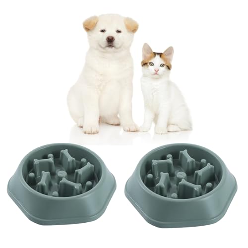 Futternapf für langsames Fressen, fördert eine gesunde Verdauung und verhindert Blähungen, ideal für Katzen und Hunde, 2 Stück (Grün-Grün) von Verdant Nova