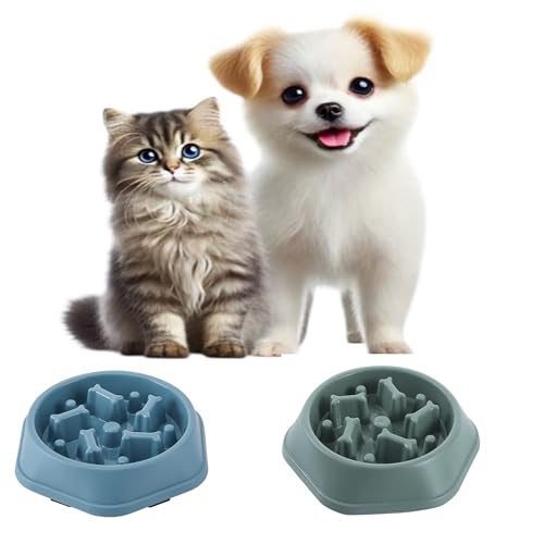 Futternapf für langsames Fressen, fördert eine gesunde Verdauung und verhindert Blähungen, ideal für Katzen und Hunde, Himmelblau, Grün, 2 Stück Futternapf für langsames Fressen, fördert eine gesunde Verdauung und verhindert Blähungen, ideal für Katzen und Hunde, Himmelblau, Grün, 2 Stück von Verdant Nova
