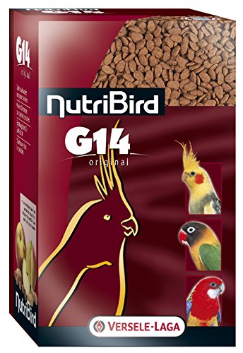 Versele-Laga Nutribird G14 | 1 kg | Erhaltungsfutter für Erwachsene Großsittiche | Extrudierte Pellets | Zur Unterstützung der Darmflora & des Gefieders | Von Tierärzten empfohlen von Versele-Laga
