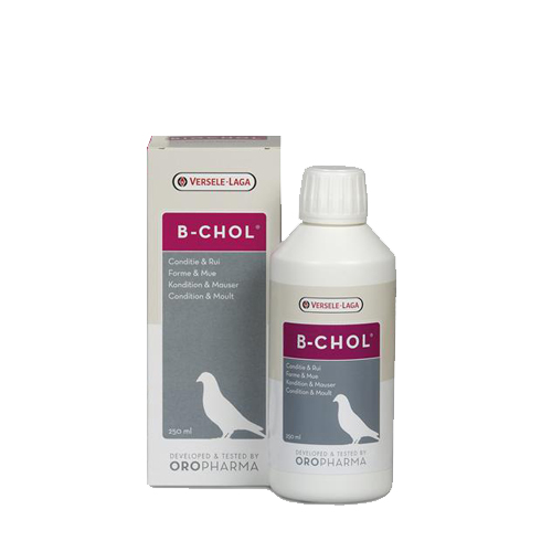 Oropharma Biochol (B-chol) - 500 ml von Versele-Laga