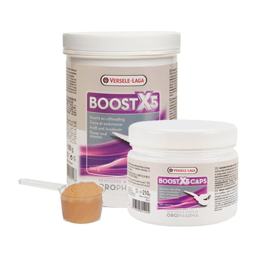 Oropharma Boost X5 500 g - 500 g Oropharma Boost X5 500 g - 500 g von Versele-Laga