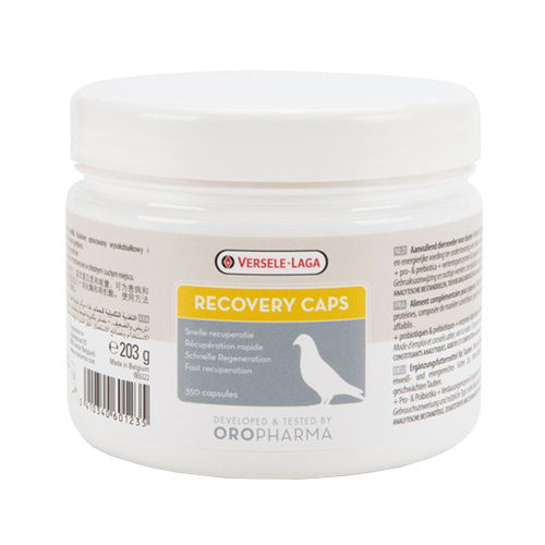 Oropharma Recovery Caps - 350 Kapseln Oropharma Recovery Caps - 350 Kapseln von Versele-Laga