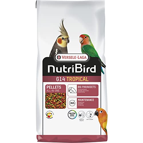 VERSELE-LAGA - NutriBird G14 Tropical - Extrudierte Pellets - Erhaltungsfutter für große Sittiche - Mehrfarbig - 10kg VERSELE-LAGA - NutriBird G14 Tropical - Extrudierte Pellets - Erhaltungsfutter für große Sittiche - Mehrfarbig - 10kg von Versele-Laga