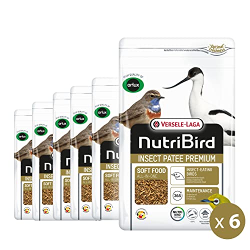 VERSELE-LAGA - NutriBird Insect Patee Premium – Patée Vögel ideal für Wettbewerbe – reich an Proteinen – für alle Insekten – 6 x 500 g VERSELE-LAGA - NutriBird Insect Patee Premium – Patée Vögel ideal für Wettbewerbe – reich an Proteinen – für alle Insekten – 6 x 500 g von Versele-Laga
