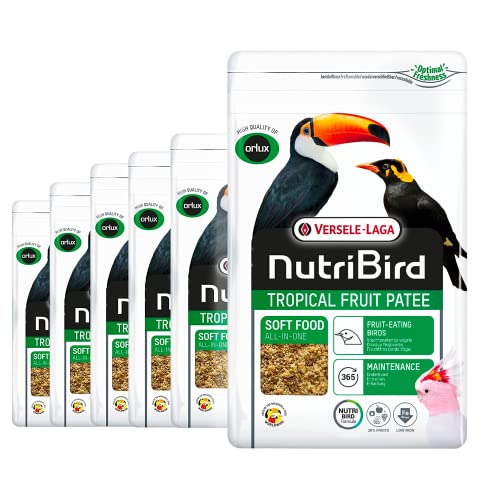 VERSELE-LAGA - NutriBird Tropical Fruit Patee – Patee Vögel – Alleinfutter – für frugifressende Vögel – 6 x 1 kg VERSELE-LAGA - NutriBird Tropical Fruit Patee – Patee Vögel – Alleinfutter – für frugifressende Vögel – 6 x 1 kg von Versele-Laga