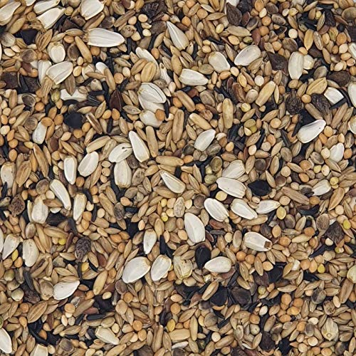 Versele Großsittiche Spezial 20 kg Versele Großsittiche Spezial 20 kg von Versele-Laga