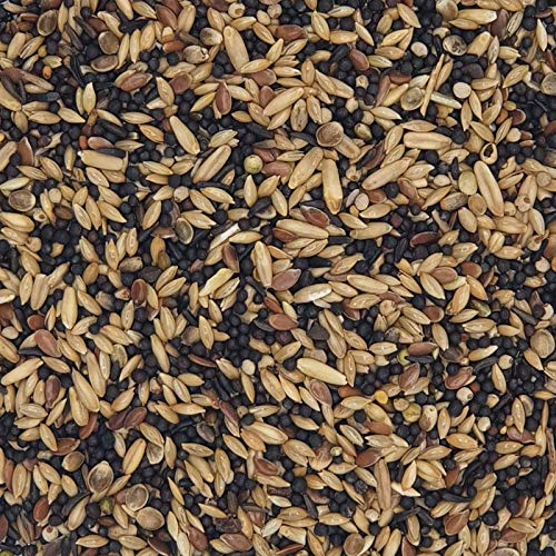 Versele Kanarien Zucht 20 kg Versele Kanarien Zucht 20 kg von Versele-Laga