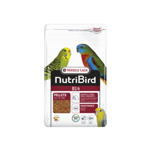 Versele-Laga B14 | 800 g | Erhaltungsfutter für Wellensittiche & andere kleine Sittiche | Unterstützung der Darmflora & Verdauung | Mit natürlichen Tonmineralen und Präbiotika Versele-Laga B14 | 800 g | Erhaltungsfutter für Wellensittiche & andere kleine Sittiche | Unterstützung der Darmflora & Verdauung | Mit natürlichen Tonmineralen und Präbiotika von Versele-Laga