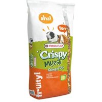 Versele-Laga Crispy Muesli Guinea Pigs 20 kg Versele-Laga Crispy Muesli Guinea Pigs 20 kg von Versele-Laga