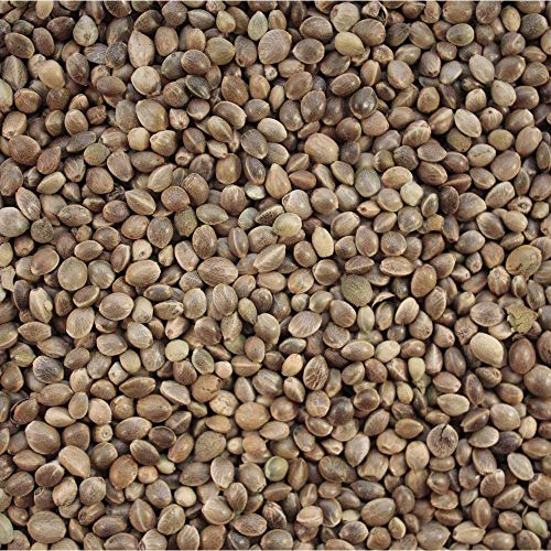 Versele Laga Hanfsamen 20 kg von Versele-Laga