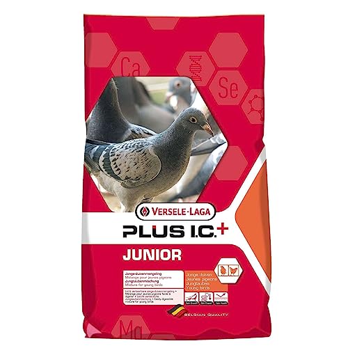 Versele-Laga Junior Plus Ic - Tauben 20 KG von Versele-Laga