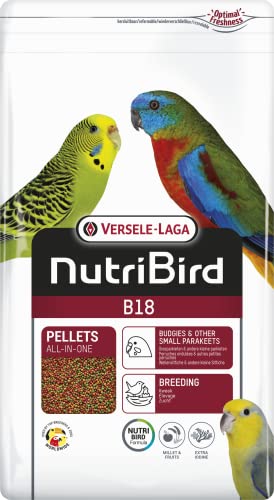 Versele-Laga NutriBird B18 | 3 kg | Ergänzungsfuttermittel für Wellensittiche und andere kleine Sittiche | Zur Unterstützung des Wohlbefindens | Mit Präbiotika und 35% Hirse Versele-Laga NutriBird B18 | 3 kg | Ergänzungsfuttermittel für Wellensittiche und andere kleine Sittiche | Zur Unterstützung des Wohlbefindens | Mit Präbiotika und 35% Hirse von Versele-Laga