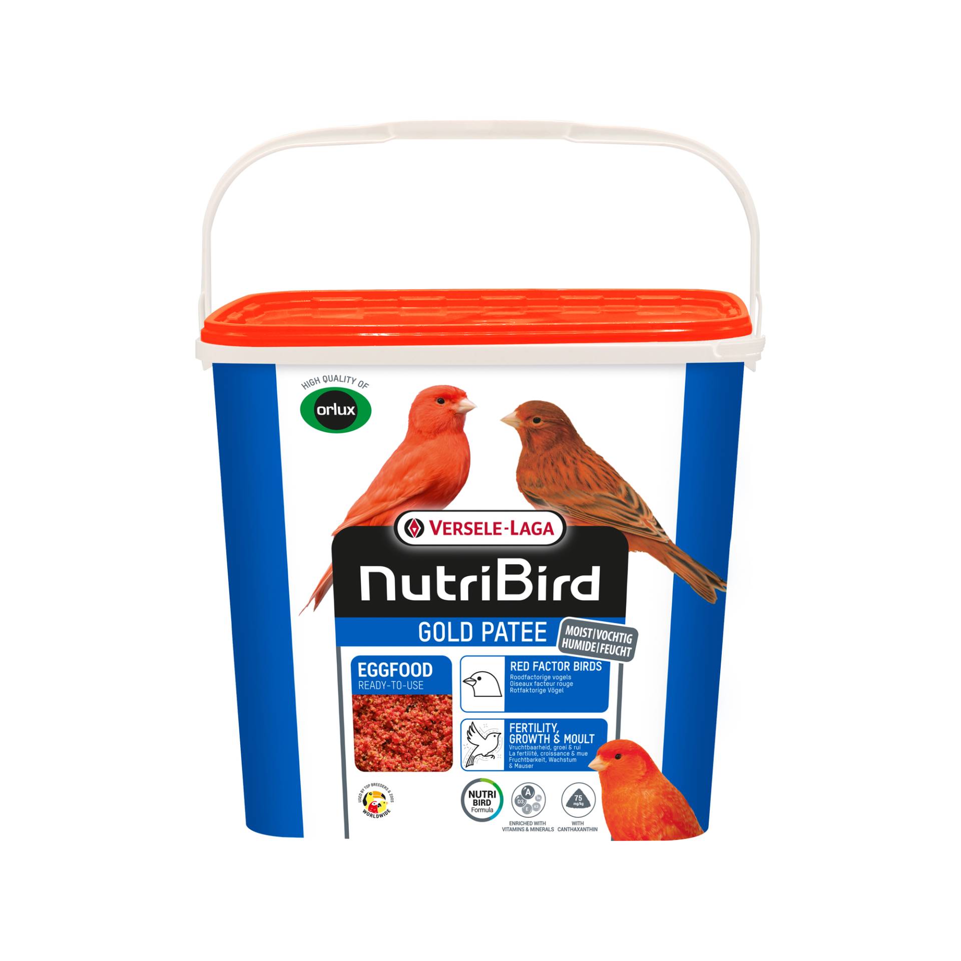 Versele-Laga NutriBird Gold Patee Red - 5 kg Versele-Laga NutriBird Gold Patee Red - 5 kg von Versele-Laga