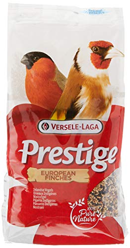 Versele-laga A-16690 Prestige Gourmet Wildvögel, 1 kg Versele-laga A-16690 Prestige Gourmet Wildvögel, 1 kg von Versele-Laga