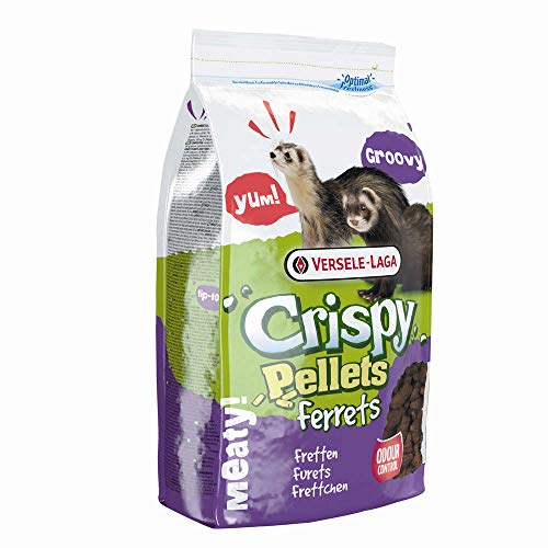 Versele-laga Crispy Pellets Frettchen - 3 kg Versele-laga Crispy Pellets Frettchen - 3 kg von Versele-Laga