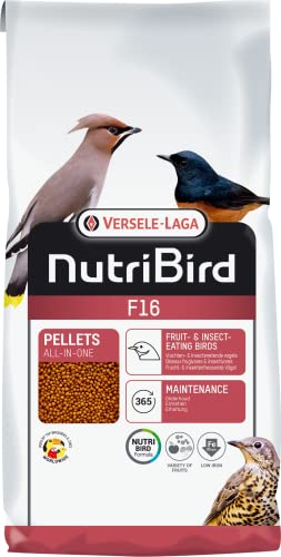 Versele-laga - Futtermittel für insektenfressende und fruchtfressende Vögel 10 kg NUTRIBIRD F16 VERSELE LAGA von Versele-laga