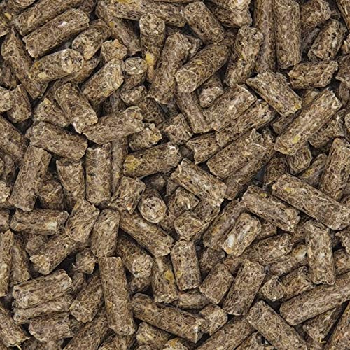 Versele Austru 3 Pellet 20kg von Versele-Laga